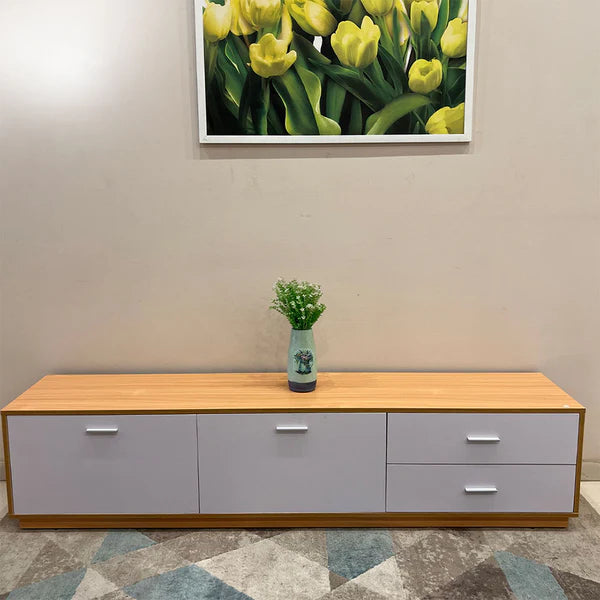 woodco tv unit